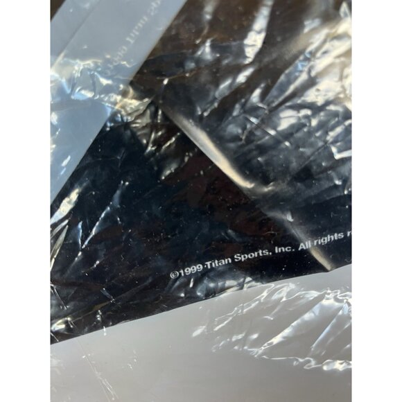 Vintage WWF/WWE Plastic Flag Birthday Party Banner 1999 - Picture 3 of 9